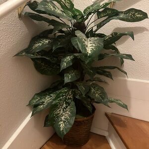 Lush Green Faux Plant in Woven Basket